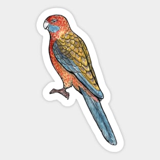 Adelaide Rosella Sticker